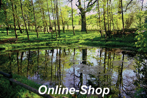 Online-Shop